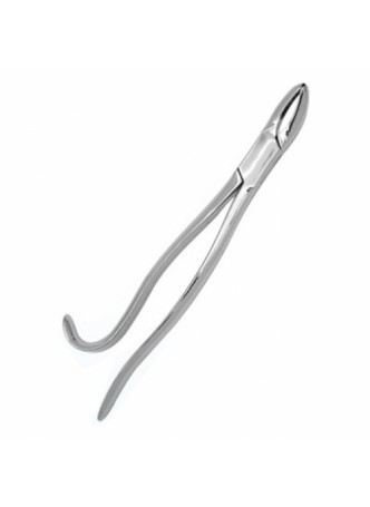 Tooth Forceps (SS)